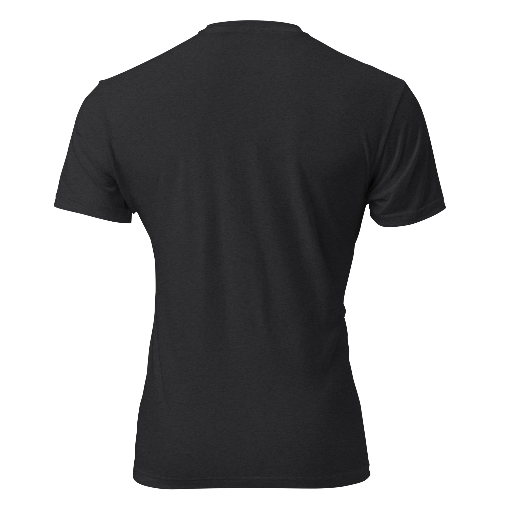 unisex fitted t shirt next level 6210
